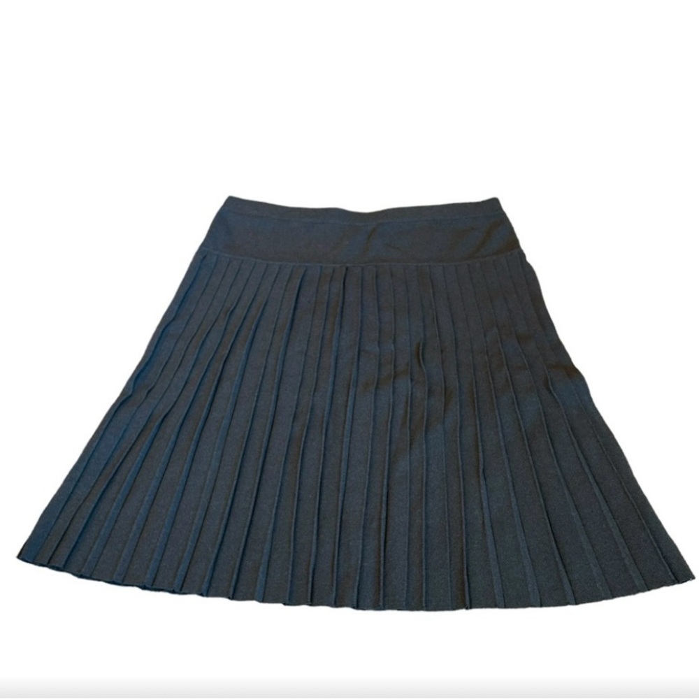 STUDIO G pleated skirt nwt